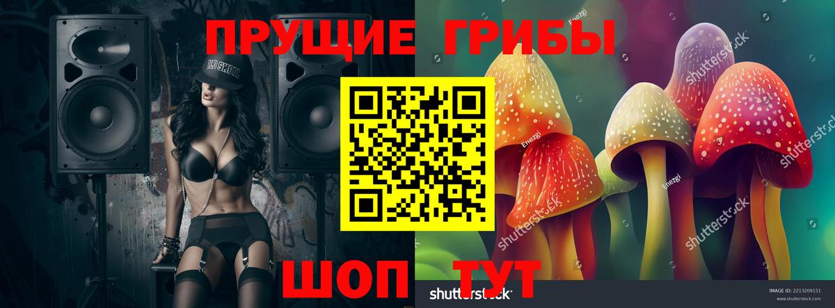 Псилоцибиновые грибы мухоморы Шадринск